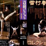 雪村春樹コレクション2 柔肌の玩具・飼育の館 西沢加奈